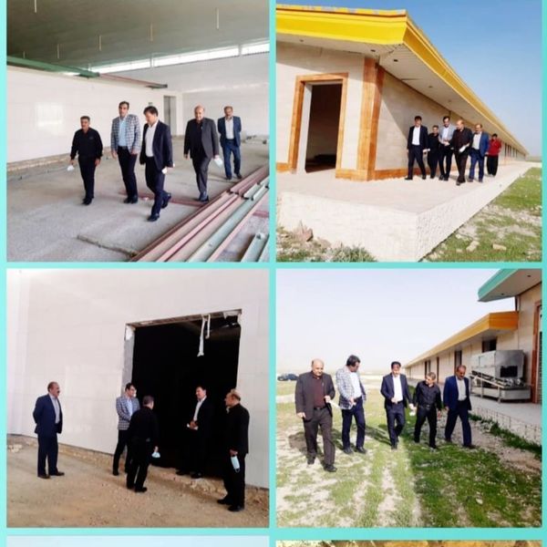 بازدید از کشتارگاه مرغ پرچین آبدانان صورت گرفت