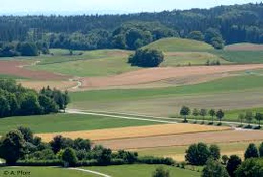 اتحادیه اروپا چگونه از بخش کشاورزی حمایت می‌کند؟