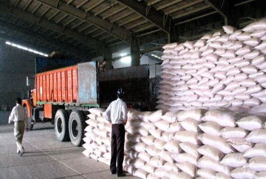 توزیع بیش از ۴۷ هزار تن کود شیمیایی در قزوین؛ افزایش ۲۷ درصدی نسبت به سال گذشته