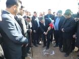  پایداری تولید گوشت و ارزان سازی با پرورش صنعتی