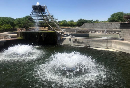 استفاده از آب مغناطیسی برای اولین بار در مزارع پرورش ماهی استان آذربایجان شرقی
