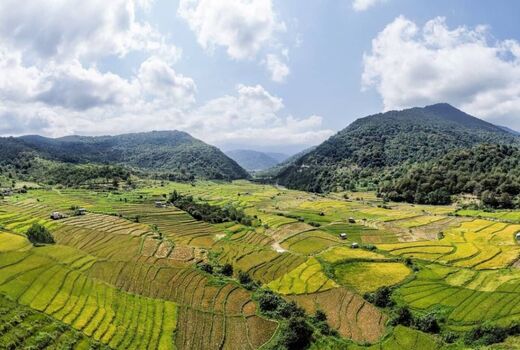 گلستان؛ آواز خوش محصول در گوش زمین
