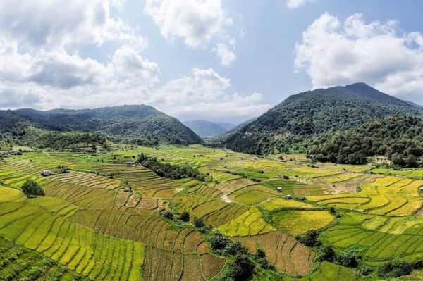 گلستان؛ آواز خوش محصول در گوش زمین
