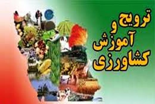 فعالیت اقتصادی زنان روستایی به روش Insie در استان بوشهر