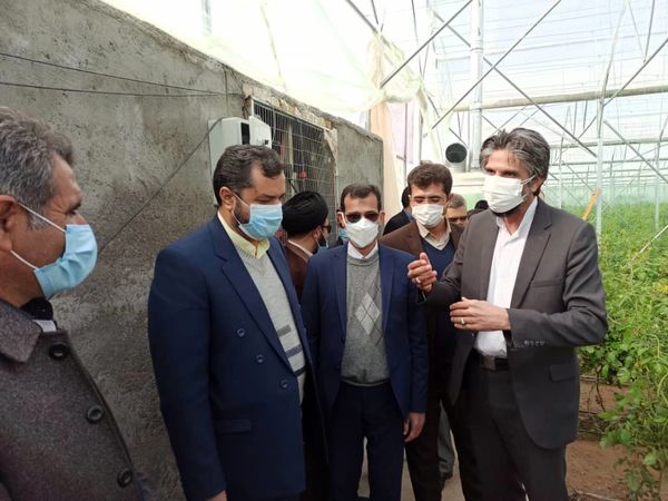 افتتاح و بهره برداری همزمان از 5 پروژه کشاورزی شهرستان درمیان با حضور رئیس سازمان