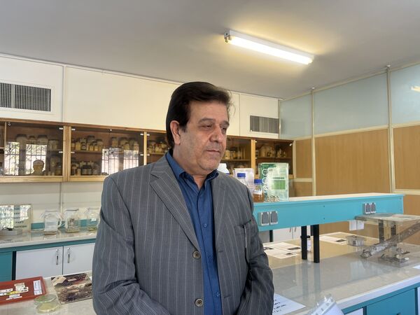 ۷۷ میلیون زنبور انکارسیا برای مبارزه بیولوژیک به گلخانه‌های سبزی و صیفی وارد می‌شود