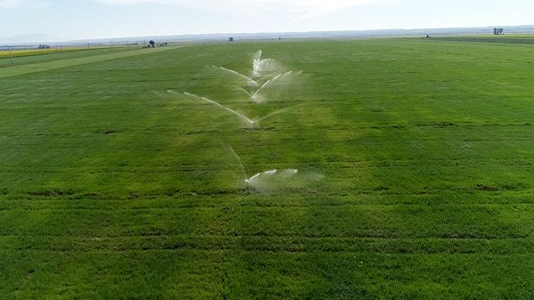 پیشرفت فیزیکی 95 درصدی طرح سامانه گرمسیری 