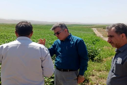 طرح های شبکه هاب فرعی آبیاری غرب و شمال غرب کشور از پیشرفت 98 درصدی برخوردار است