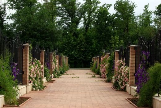 آغاز «جشنواره بهاره» در باغ گیاه‌شناسی ملی ایران؛ پیوند طبیعت و فرهنگ