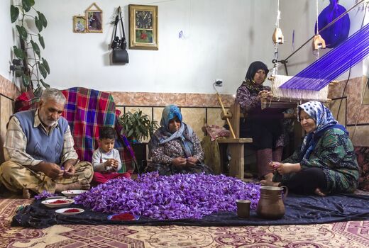 توسعه صنایع تبدیلی؛ مسیر افزایش درآمد خانوارهای روستایی و عشایری