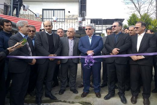 کارگاه بسته بندی و طعم دهی چای به همت جوان کارآفرین لنگرودی افتتاح شد