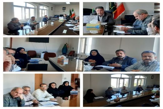 لزوم استفاده از رقم‌های مناسب منطقه و پر محصول در کشت پاییزه