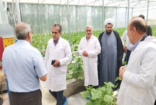 آغاز بهره‌برداری از یک واحد گلخانه هیدروپونیک تولید خیار در ارومیه 