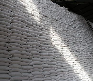 تأمین پایدار بازار قزوین با توزیع بیش از ۴۸ هزار تن شکر 