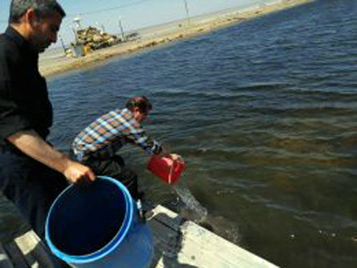 کشت سیست آرتمیای دریاچه ارومیه به منظور حفظ ذخائر ژنتیکی در جهت پایداری تولید