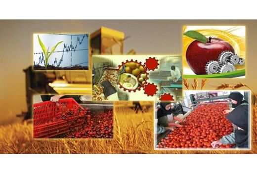 24 فقره جواز تاسیس صنایع کشاورزی در سیمرغ صادر شد