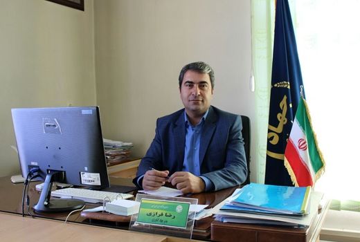 کشت کلزا در 90 هکتار از اراضی زراعی شهرستان فیروزکوه