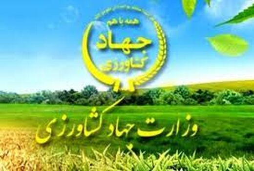انتشار مرحله هفتم لیست تخصیص ارز کالاهای اساسی و نهاده‌های بخش کشاورزی
