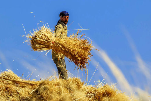 جوان روستایی هم سرمایه هم نیروی کار