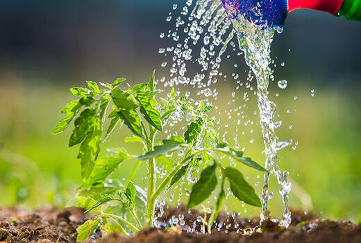 آشنایی با مزایای استفاده از روش‌های نوین آبیاری در بهبهان