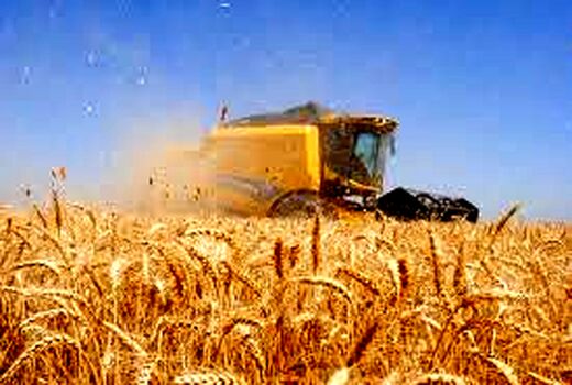 پرداخت بیش از 14 هزار میلیارد تومان وجه گندم به کشاورزان خوزستانی