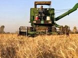 به‌کارگیری بیش از 240 دستگاه کمباین و دروگر در عملیات برداشت گندم و جو