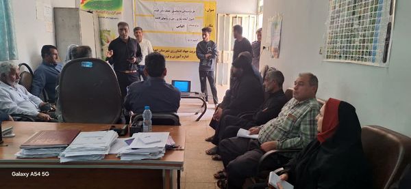 کشت روی پشته های بلند؛ راهکاری مناسب برای افزایش عملکرد گندم