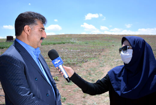 کشت گلخانه‌ای راهی برای افزایش میزان تولید بدون تغییر سطح زیر کشت