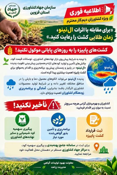 برای مقابله با اثرات پدیده اقلیمی ال نینو  زمان طلایی کشت را رعایت کنید 
