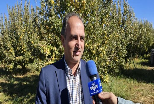 الزام اخذ کد شناسه QR code برای عرضه محصولات کشاورزی در بازارهای داخلی و خارجی