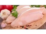 5790 تن گوشت سفید در بابل تولید شد/ ارزش اقتصادی دو هزار میلیاردی