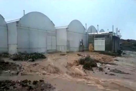 خسارات سیلاب  به اراضی کشاورزی چادگان