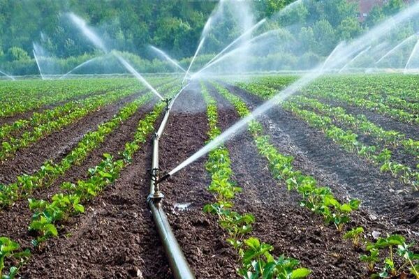 جلوگیری از هدر رفت آب با اجرای آبیاری تحت فشار