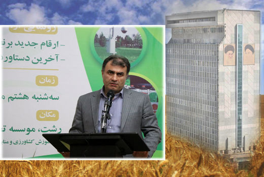 «درجانی» رئیس هیئت مدیره موسسه استقلال شد