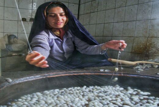 نجات کارگاههای ابریشم کشی با واردات پیله به جای نخ

