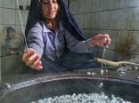نجات کارگاههای ابریشم کشی با واردات پیله به جای نخ

