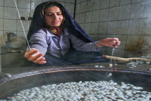 نجات کارگاههای ابریشم کشی با واردات پیله به جای نخ

