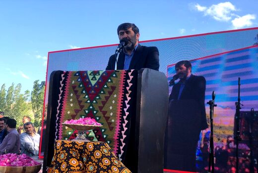 از سرمایه گذاری در فرآوری گل محمدی حمایت می کنیم 