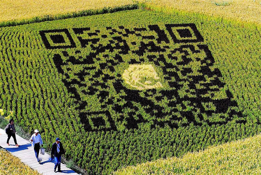 نقش‌های برنجی در چین  