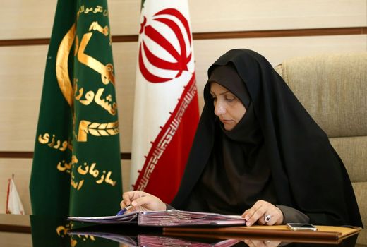 پیام تبریک رییس سازمان جهادکشاورزی استان قزوین بمناسبت روز پاسدار