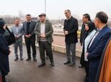 رییس سازمان حفظ نباتات کشور وارد قزوین شد