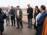 رییس سازمان حفظ نباتات کشور وارد قزوین شد