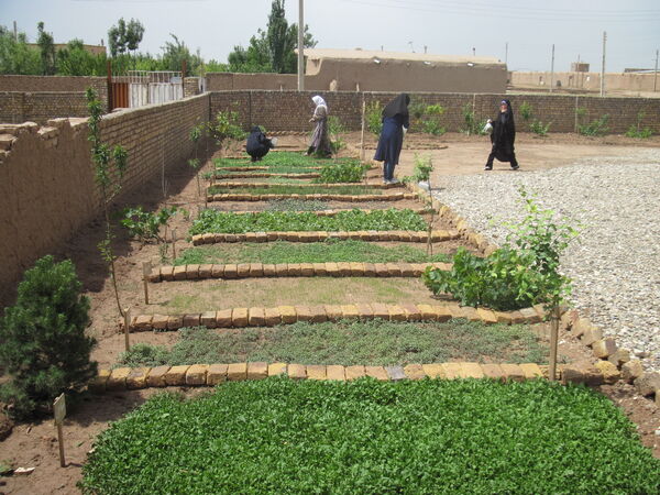 2400 نفر- روز دوره  فنی و حرفه‌ای برای  بهره برداران بخش کشاورزی  قزوین برگزار شد 