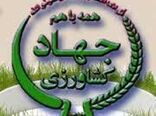 نظارت بر بازار محصولات کشاورزی در شهرستان ریگان ادامه دارد