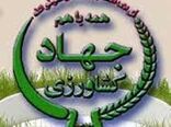 نظارت بر بازار محصولات کشاورزی در شهرستان ریگان ادامه دارد
