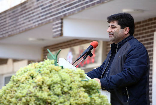  تولید ۲۲۳ هزار تن انگور و فرآوری 85 درصد محصول