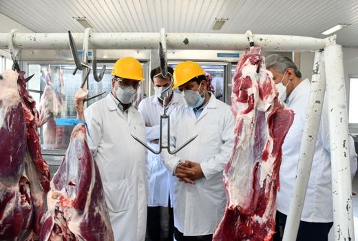 از کشتار دام های سنگین مولد جلوگیری بعمل می آید