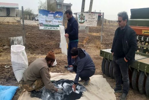 اجرای طرح پایداری تولید در دیمزارهای بخش کندوان شهرستان میانه با کشت انتظاری سیاهدانه