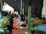 اشتغال‌زایی مناسب گیاهان دارویی برای زنان و دختران جویای کار