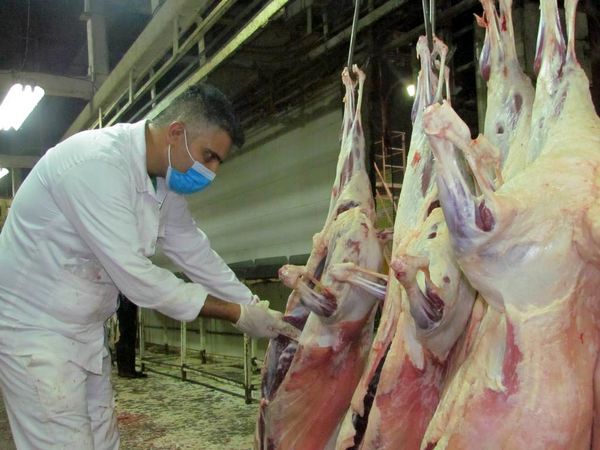 نظارت مستمر شبکه دامپزشکی شهرستان شهربابک از مراکز عرضه فرآورده‌های خام دامی 